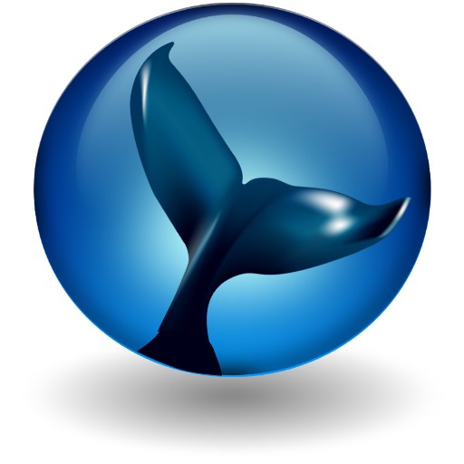 Bluewhale